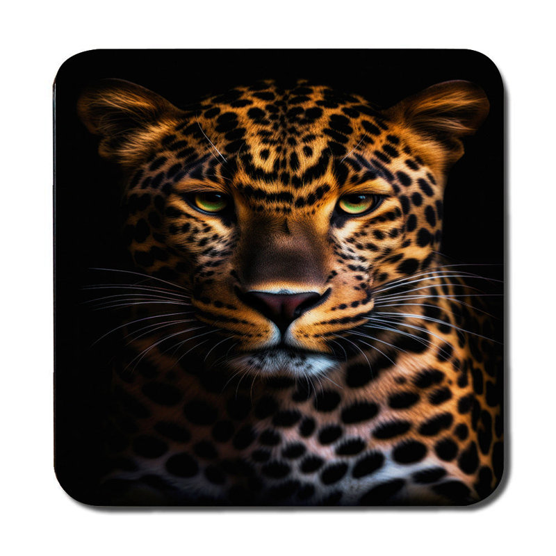 Leopard Print Placemats And Coasters Set 12 Pieces 11x8 Placemats Wood Bottom