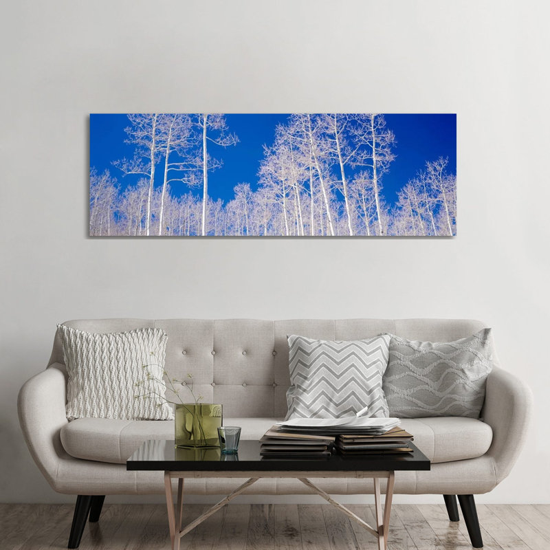 Low Angle View of Aspen Trees in a Forest, Utah, USA 1 Piece Wrapped Canvas Panoramic Wall Art, 182.88 cm H x 60.96 cm W