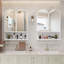 Armoire à miroir 23,62 po