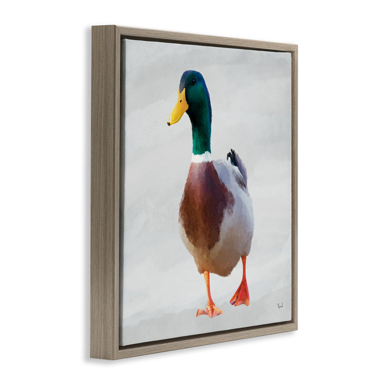 Cadre flottant Mallard Duck Squawking, design par Renel Peters, H 25 po x l 25 po, Cadre flottant orme Montalcino