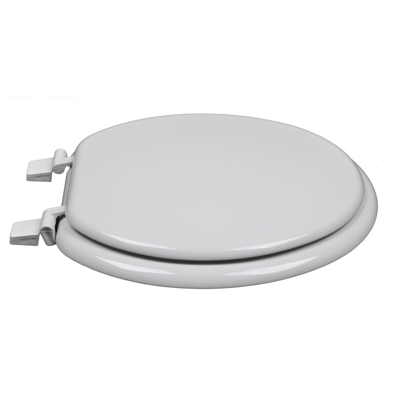 Elongated Toilet Seat and Lid, White