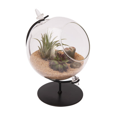 Glass Terrarium