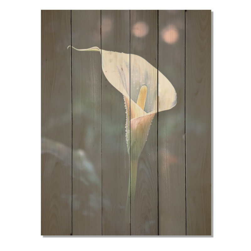 Calla Lily au clair de lune magique - lys, art mural sur bois de pin naturel, H 32 po x l 24 po