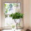 Porte-plantes Clady
