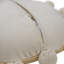 Coussin 20 po x 20 po