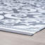 Tapis intérieur / extérieur gris Newburg-1605636535