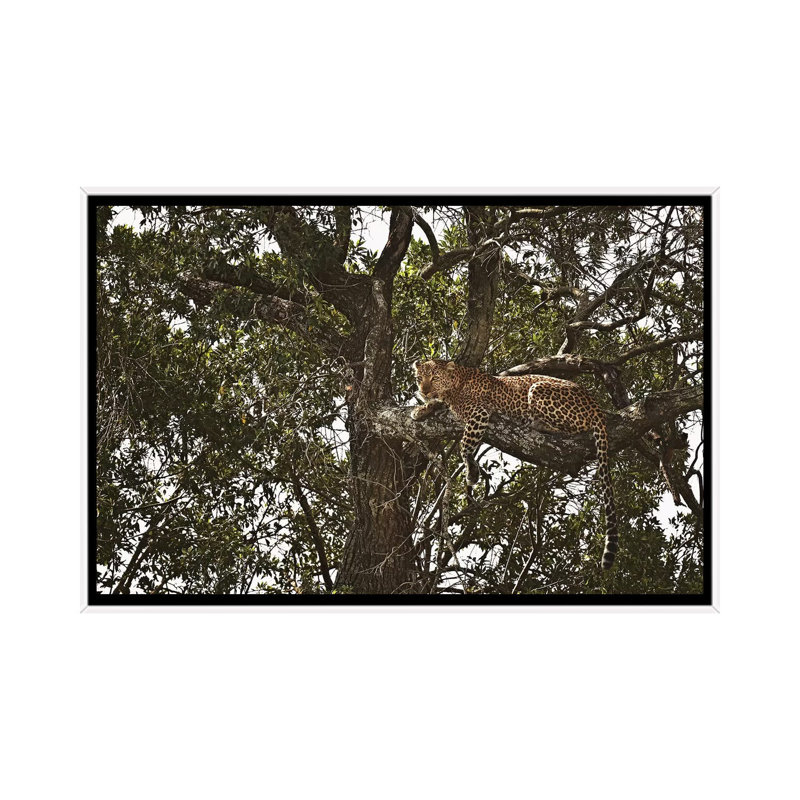 Sentinel III by Klaus Tiedge - Print on Canvas, White Framed, 66.04 cm H x 45.72 cm W