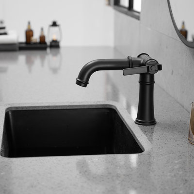 Single-Hole 2-handle Bathroom Faucet with Drain Assembly