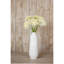 Anastasija Arrangement
