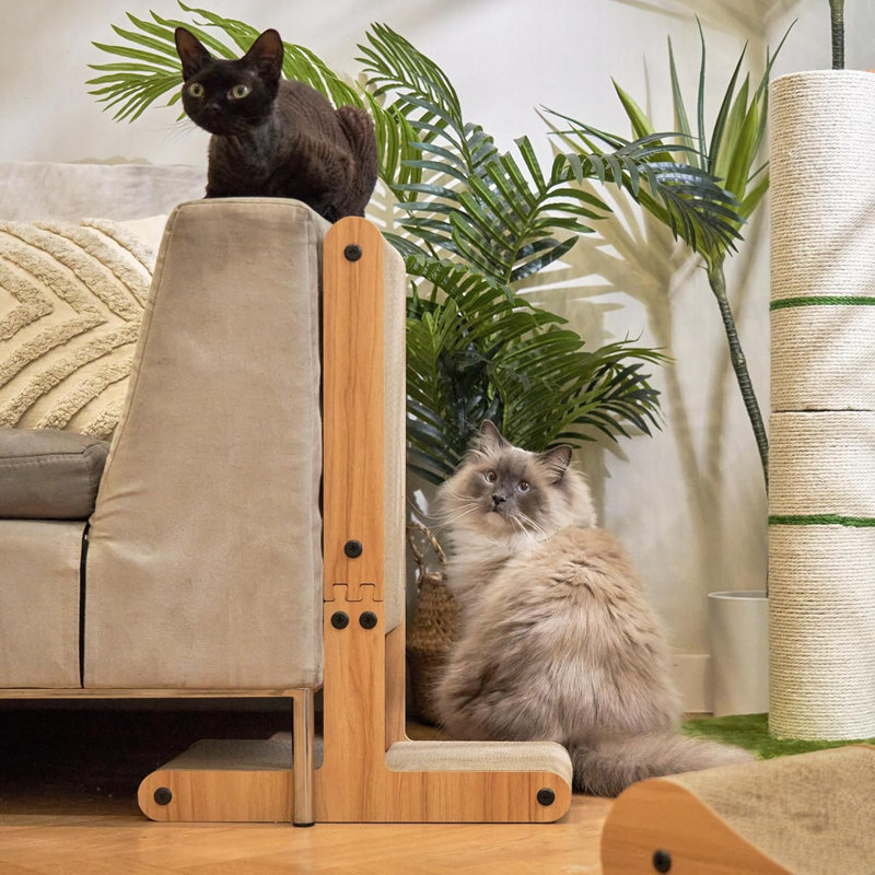 Grattoir à chat, grattoir en forme de T pour chats d'intérieur, protecteur de meuble à double face pour chat, grattoir à chat en carton avec balle