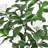 Artificial Magnolia Flower Tree in Pot-526409312