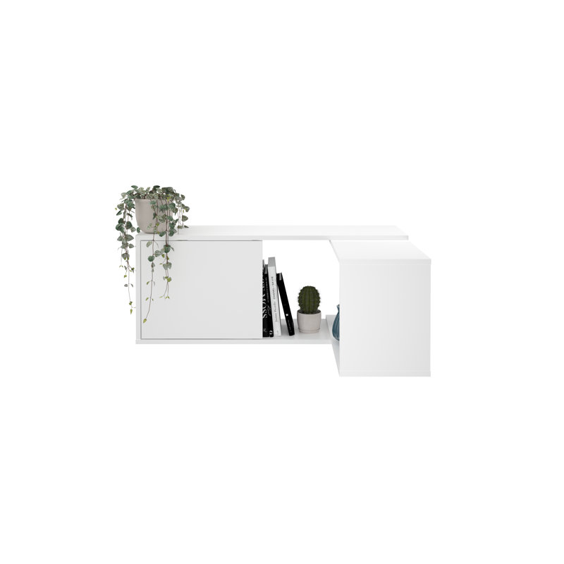 Floating Shelf with Adjustable Shelves