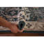 Tapis de couloir indien fait à la main vert Oushak 2 x 12
