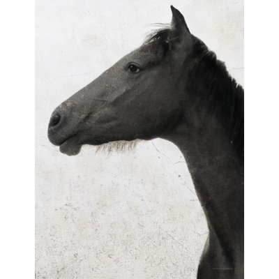 Crin de cheval par Kamdon Kreations