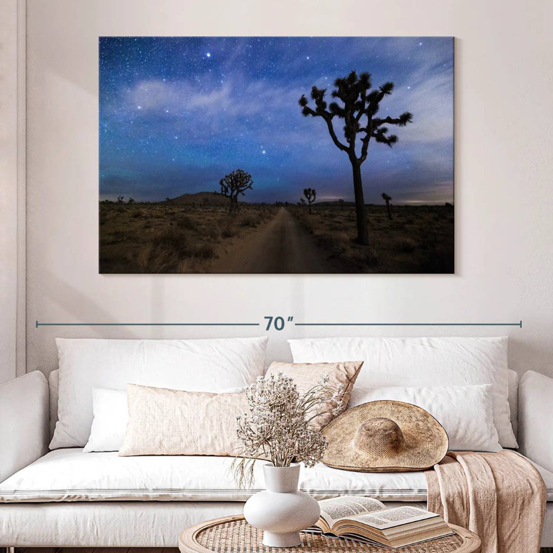 Alvord le ciel nocturne