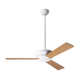 Altus 42'' 3 Blade Ceiling Fan with LED Lights