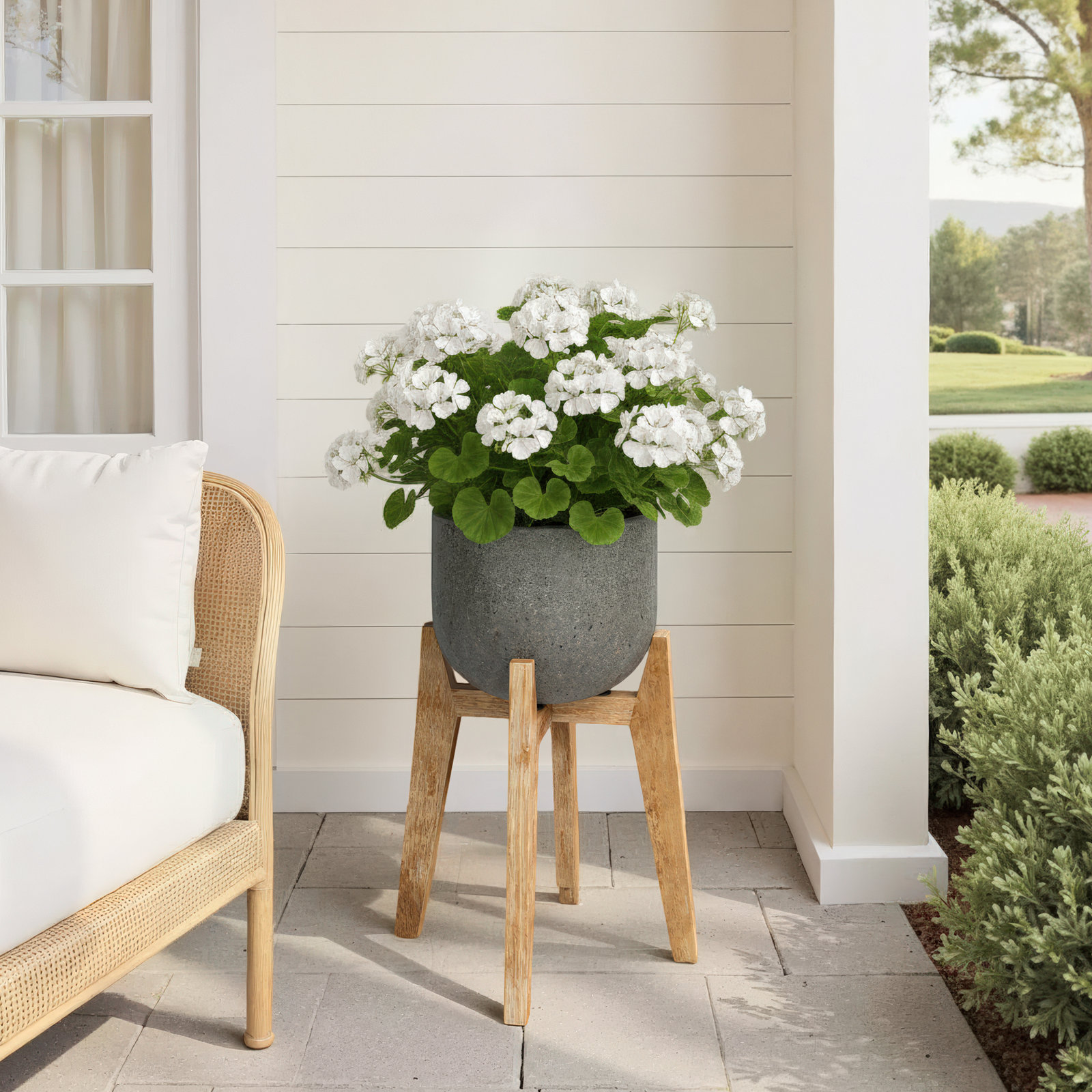 Enola 19" Pot Planter, 31.9" H x 19.1" W x 19.1" D
