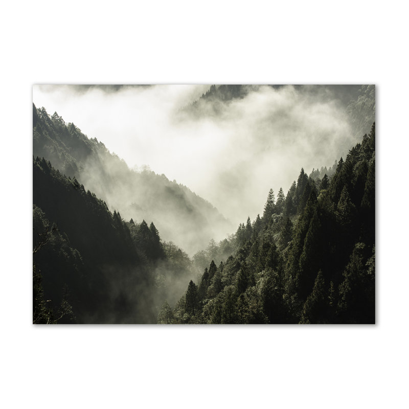 Fog Over The Forest - Wrapped Canvas Print