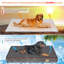Orthopedic Dog Bed-61196605