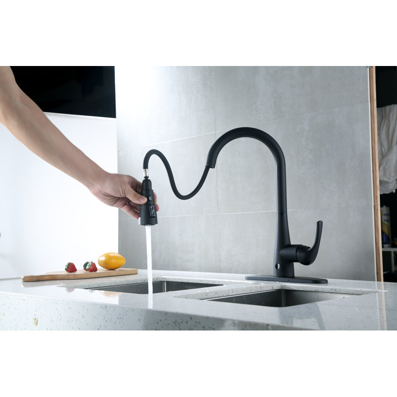RunFine Group Pull Down Touchless Kitchen Faucet, Matte
