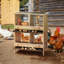 Egg Boxes & Baskets