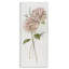 Duo d'hortensias roses, design par Nan-899899055