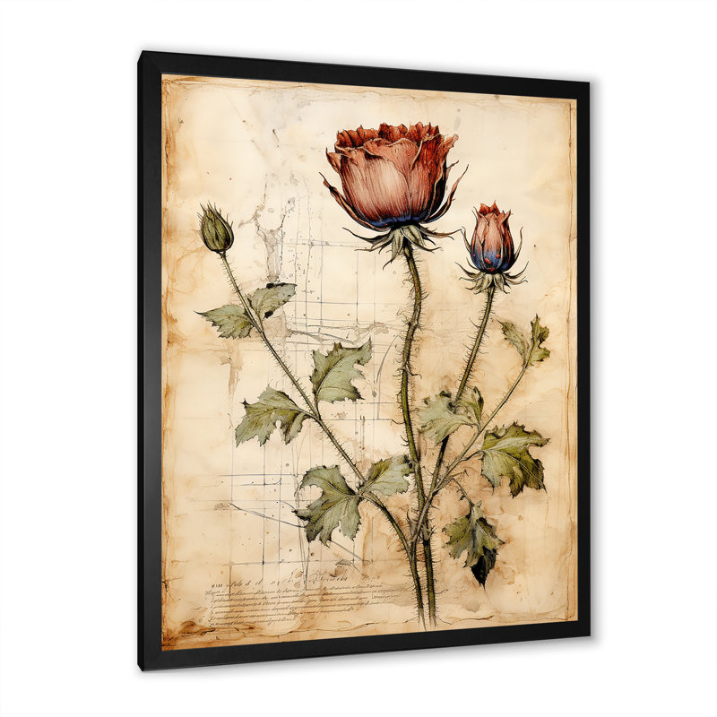 Art floral rétro chardon rétro 1 - chardon, H 20 po x l 12 po x P 1 po, Cadre simple noir