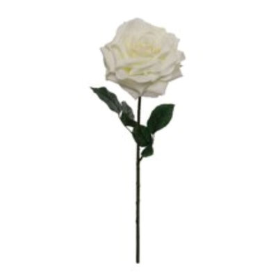 20" Open Rose Stem - 12 Pack