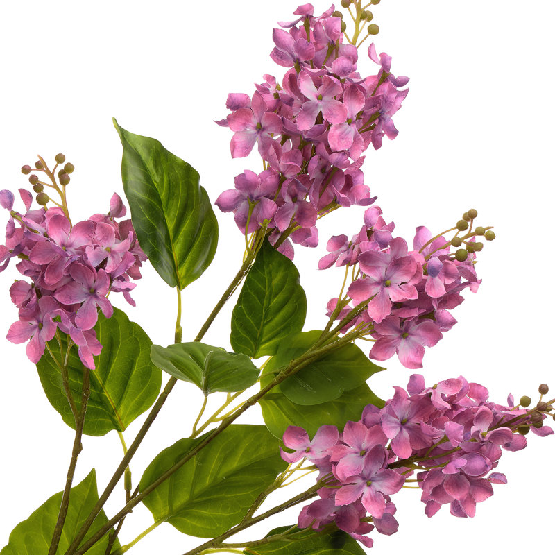 Vaporisateur lilas 40 "Spring Cut , Mauve