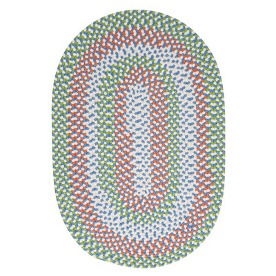 Carousel Hand Braided Abstract and Striped Indoor / Outdoor Rug