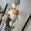 Customer photo 2 of 2