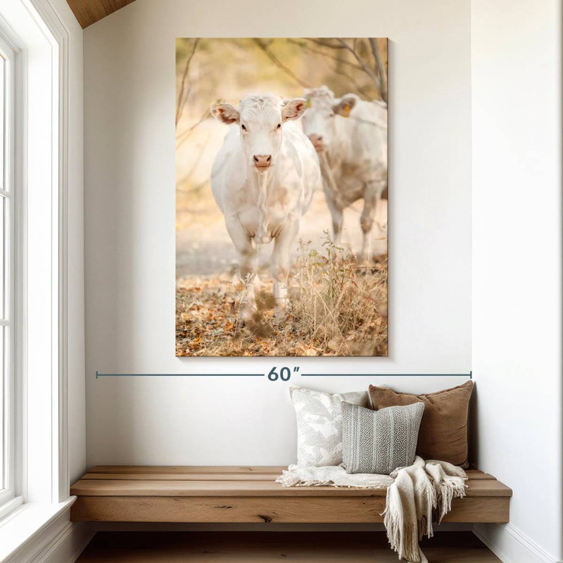 Vaches charolaises blanches, H 51 po x l 34 po