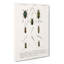 Beetle Illustration PL. 4 by Charles D Orbigny - Wrapped Canvas-55363543