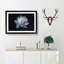 Blue Magnolia Flower in Abstract - Picture Frame Graphic Art Print-55687153-55687154