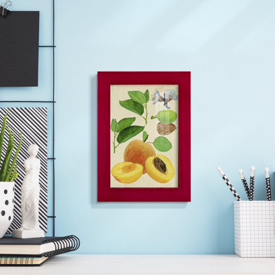 «Apricot Study I», reproduction d'art sur papier