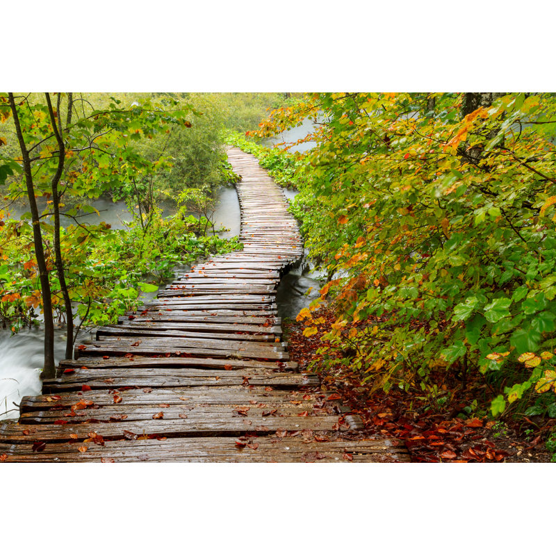 Lynse Wood Path In The Plitvice National Park In Autumn by Baratroli - Wrapped Canvas Print, 81cm H x 122cm W x 3.8cm D