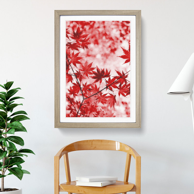 Red Leaves Of A Maple Tree - Single Picture Frame Print on MDF, 33cm H x 24cm W x 2cm D, Oak Framed
