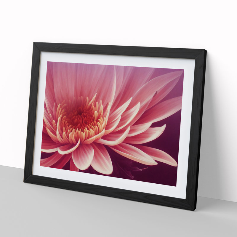 Artsy Chrysanthemum Flower - Single Picture Frame Print, Black, 46cm H x 64cm W