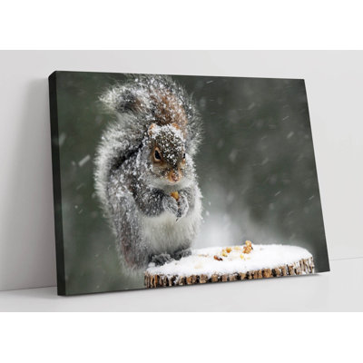 Grey Squirrel Canvas Wall Art Picture Print