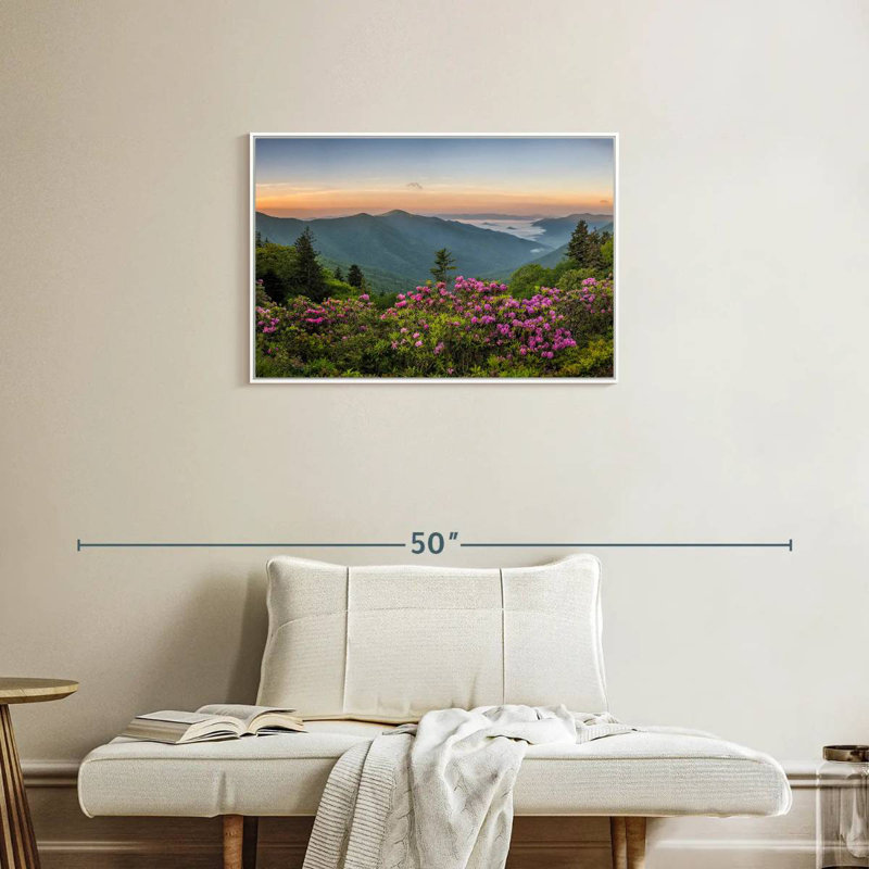 Blue Ridge Mountains View, Cadre flottant blanc, 31 po x 21 po