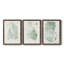 Verdure Ferns IV - ensemble de 3 peintures sur toile encadrées-1874670308-1874670315