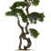51.57'' Faux Bonsai Plant in Planter