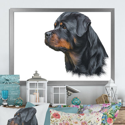 " Drawing Of The Dog Rottweiler "