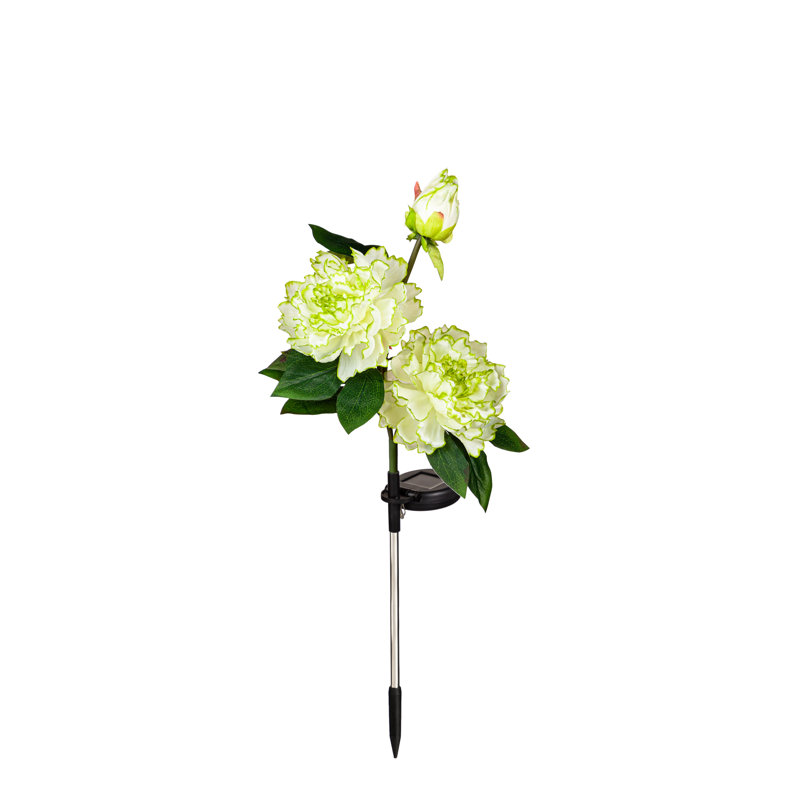 Piquet de jardin Lassandra Paeonia