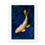 Butterfly Koi - Picture Frame Photograph on Paper -74856156-87886674