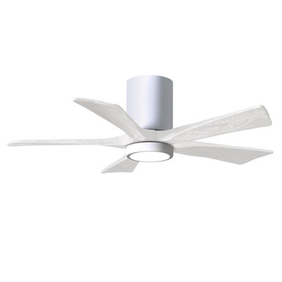 Irene Ceiling Fan with LED Light Kit