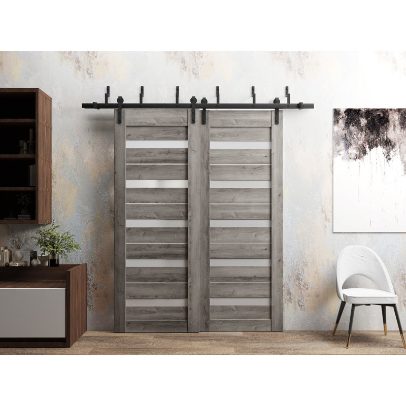 Portes coulissantes de style grange avec verre dépoli Quadro 4445 Gris Nebraska, rails robustes de 2 m, quincaillerie incluse, portes de placard de chambre en bois massif - 91 x 213 cm (2 x 46 x 213 cm)