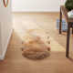 Pavlova Handmade Sheepskin Natural Beige Rug