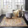 Malakai Oriental Indoor Rug