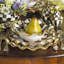 Courtly Check® Ceramic Fluted Dinner Plate